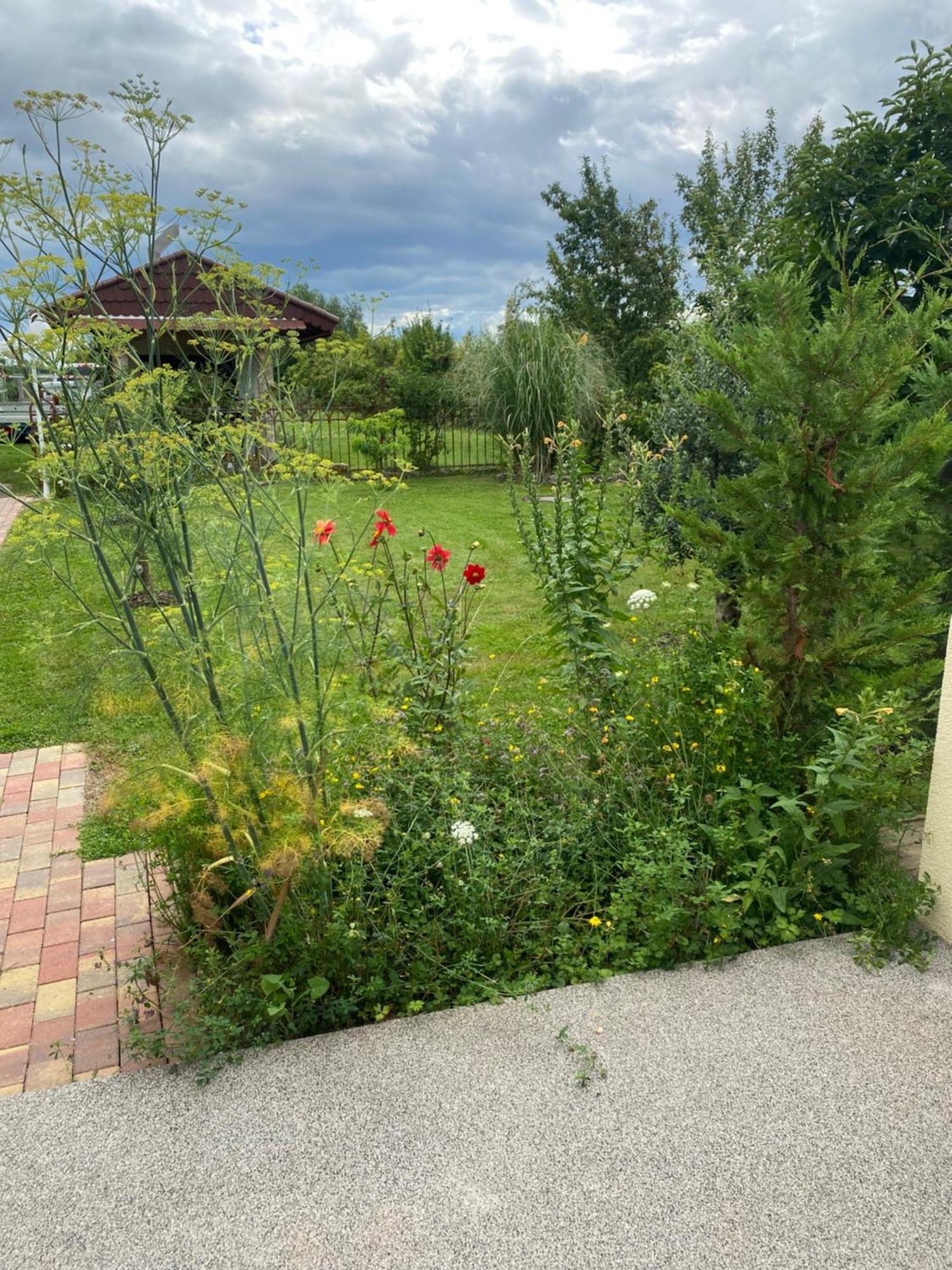 Ferienwohnung An Der Unditz 2 Neuried  Bagian luar foto